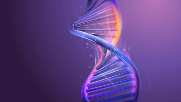 Image_20260130-amplification